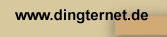  dingternet